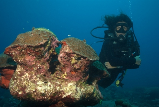  Giornata di immersioni 